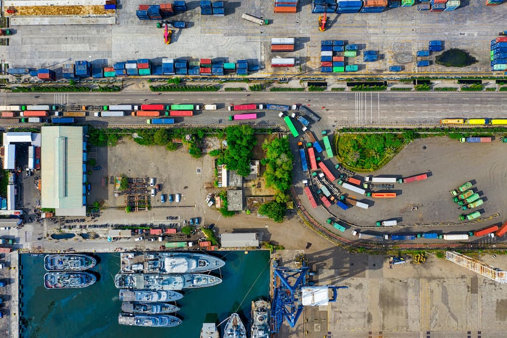 customs services